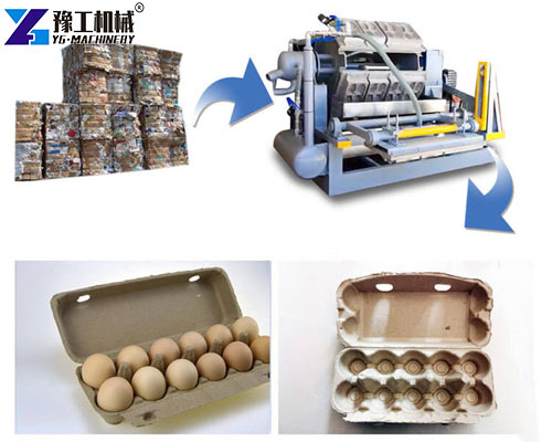 egg carton making machine production