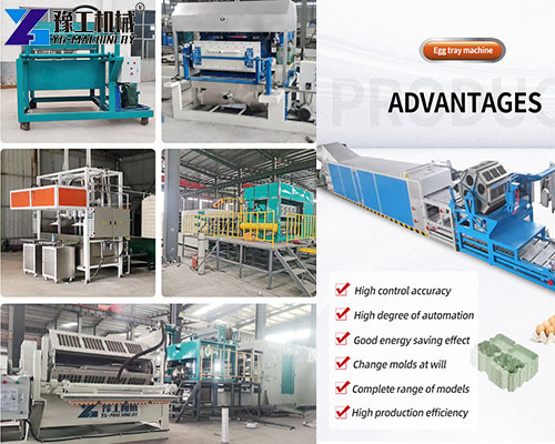 paper egg tray making machine types