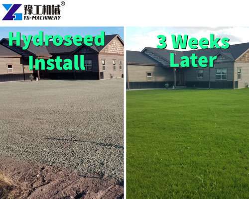 hydroseed price per square foot